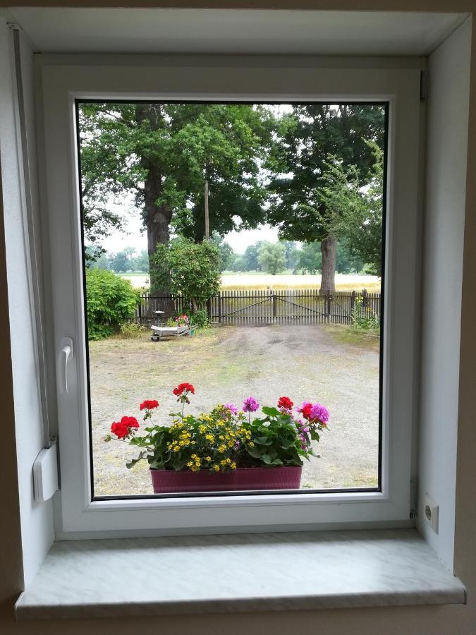 Ferienwohnung Bittner Klitten Екстер'єр фото